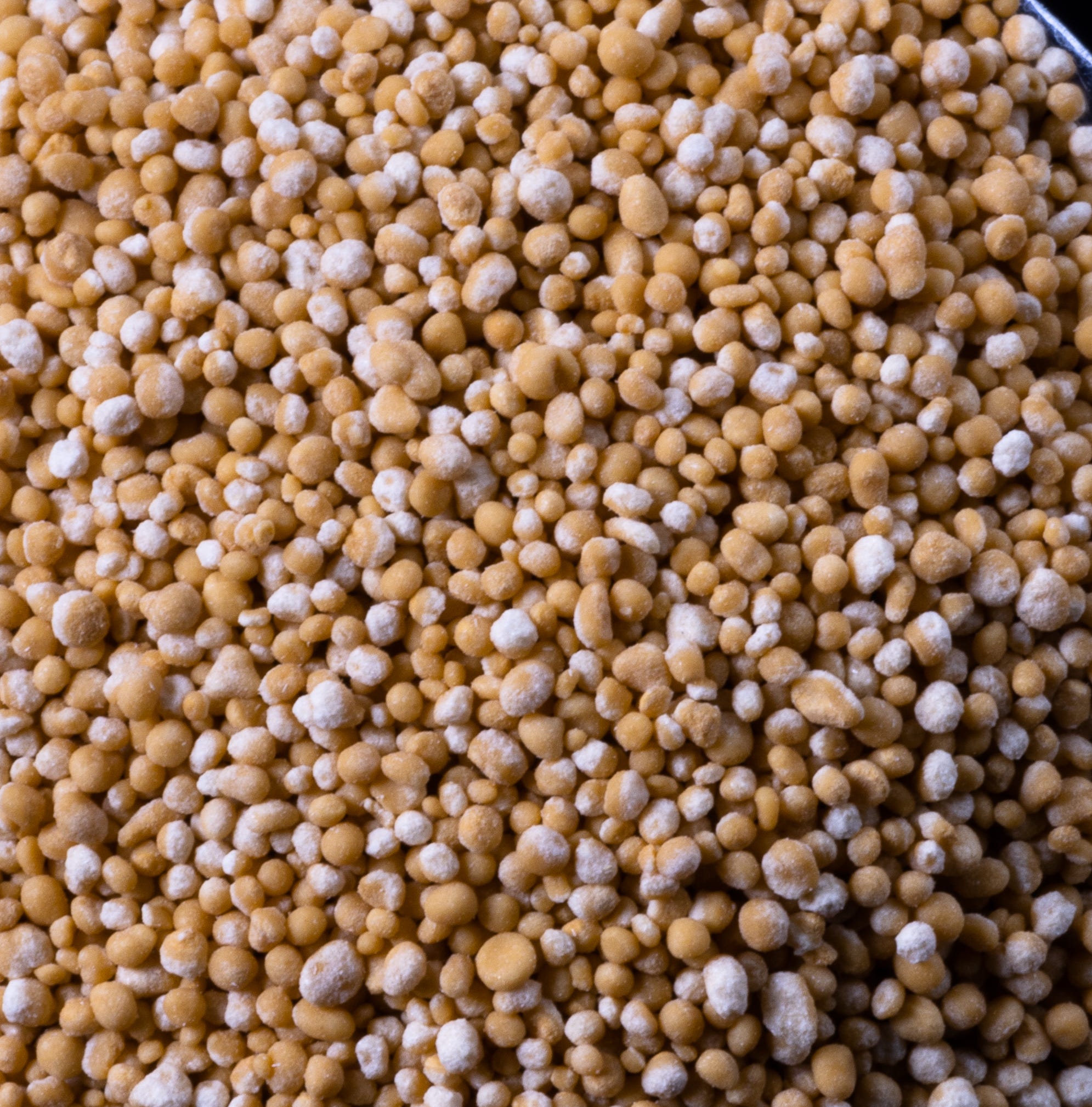 BIOGENIC MAGICBEAD 200 COQ10/YD