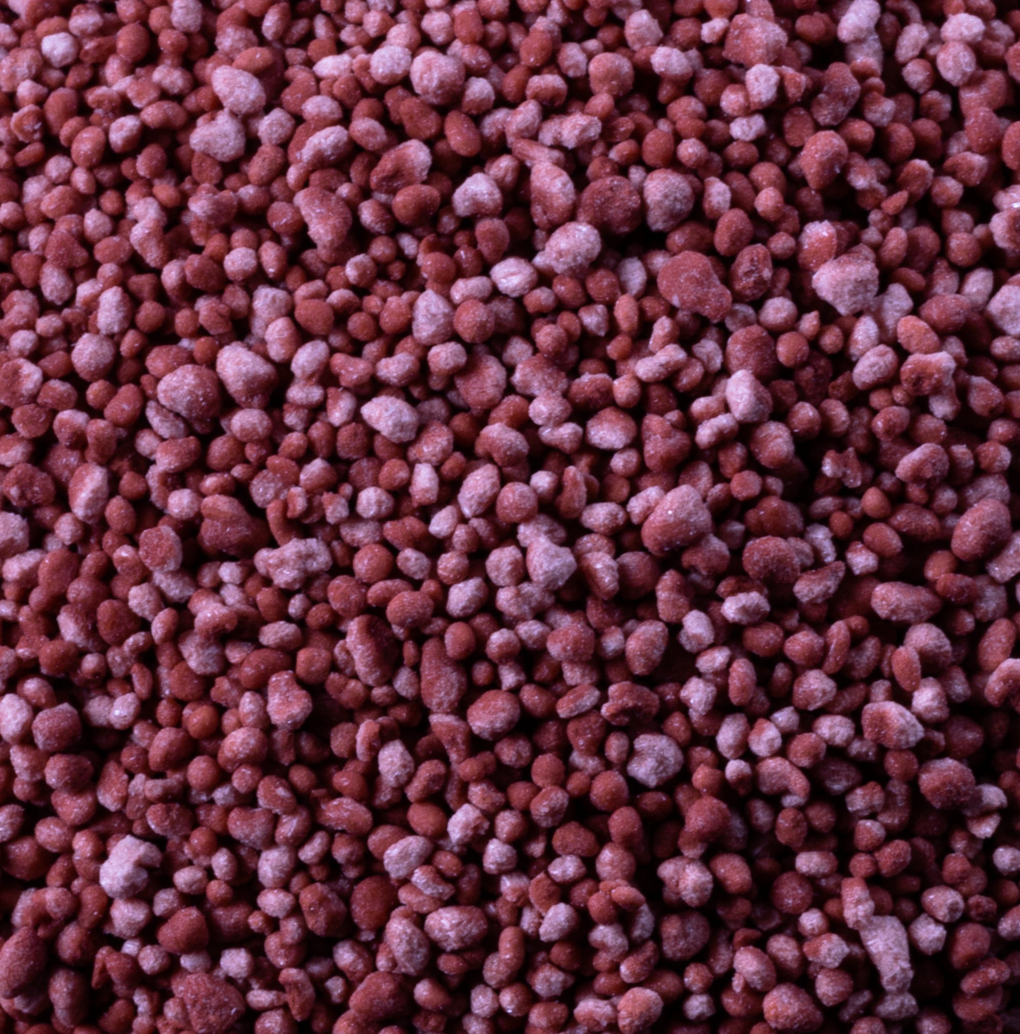 BIOGENIC MAGICBEAD 200 Collection