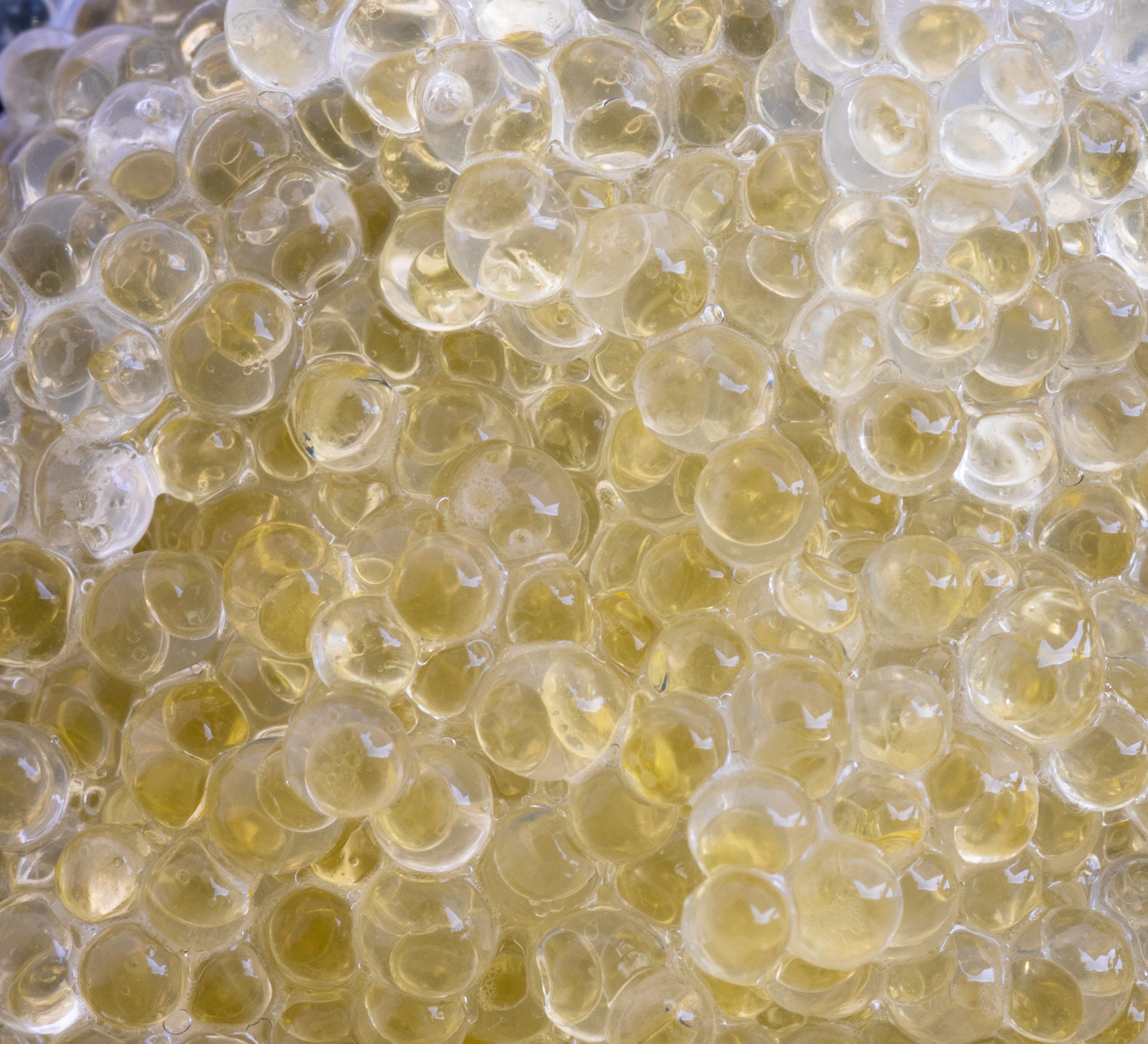 BIOGENIC WETCAPSULE-SBT-A200