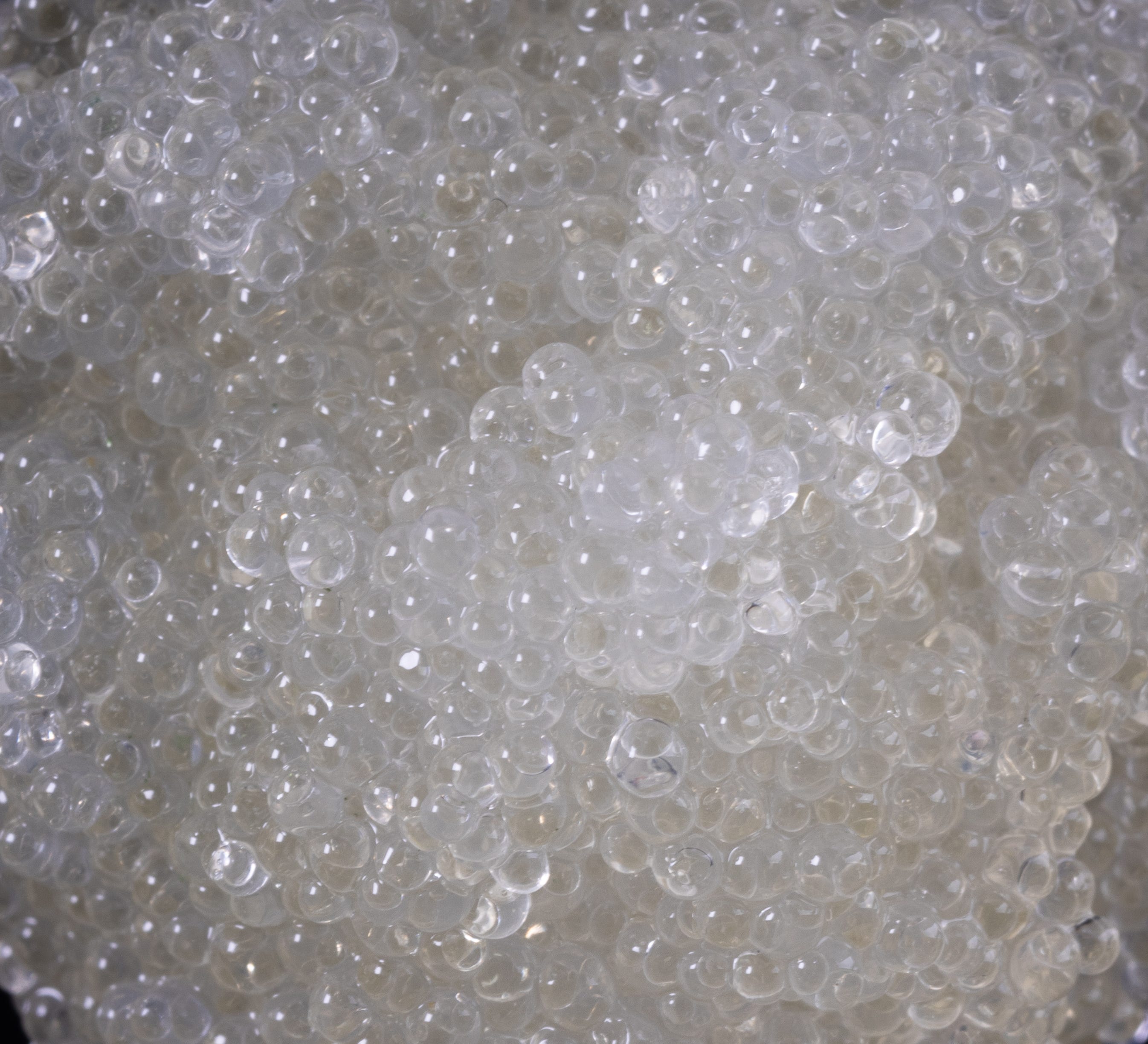 BIOGENIC WETCAPSULE-SBT-A100