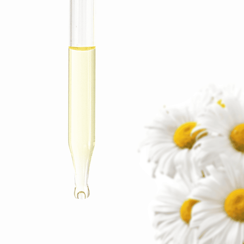Chamomile Essential Oil