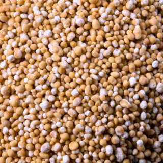 BIOGENIC MAGICBEAD 200 COQ10/YD