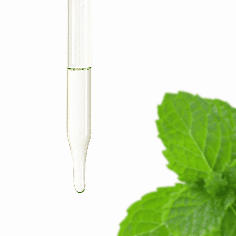 Wild Mint Essential Oil
