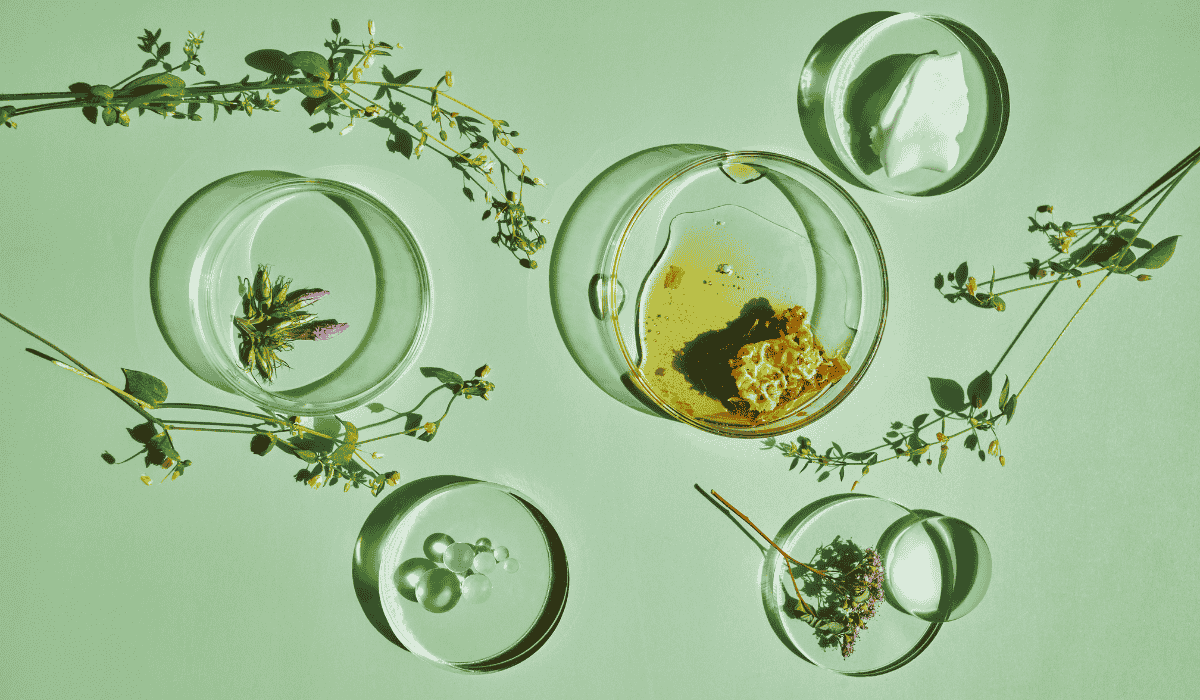 Ayurvedic Actives for Skincare: The Future of Natural Beauty Formulations